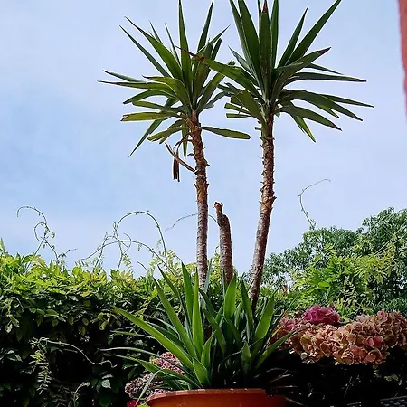 Гостевой дом Pension-gaststaette Paradies