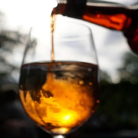 Pensión Pension-gaststaette Paradies