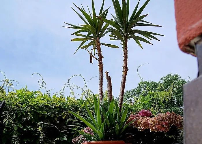 Pensionat Pension-gaststätte Paradies