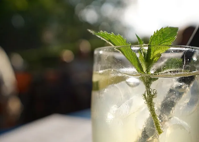 Pension-gaststaette Paradies